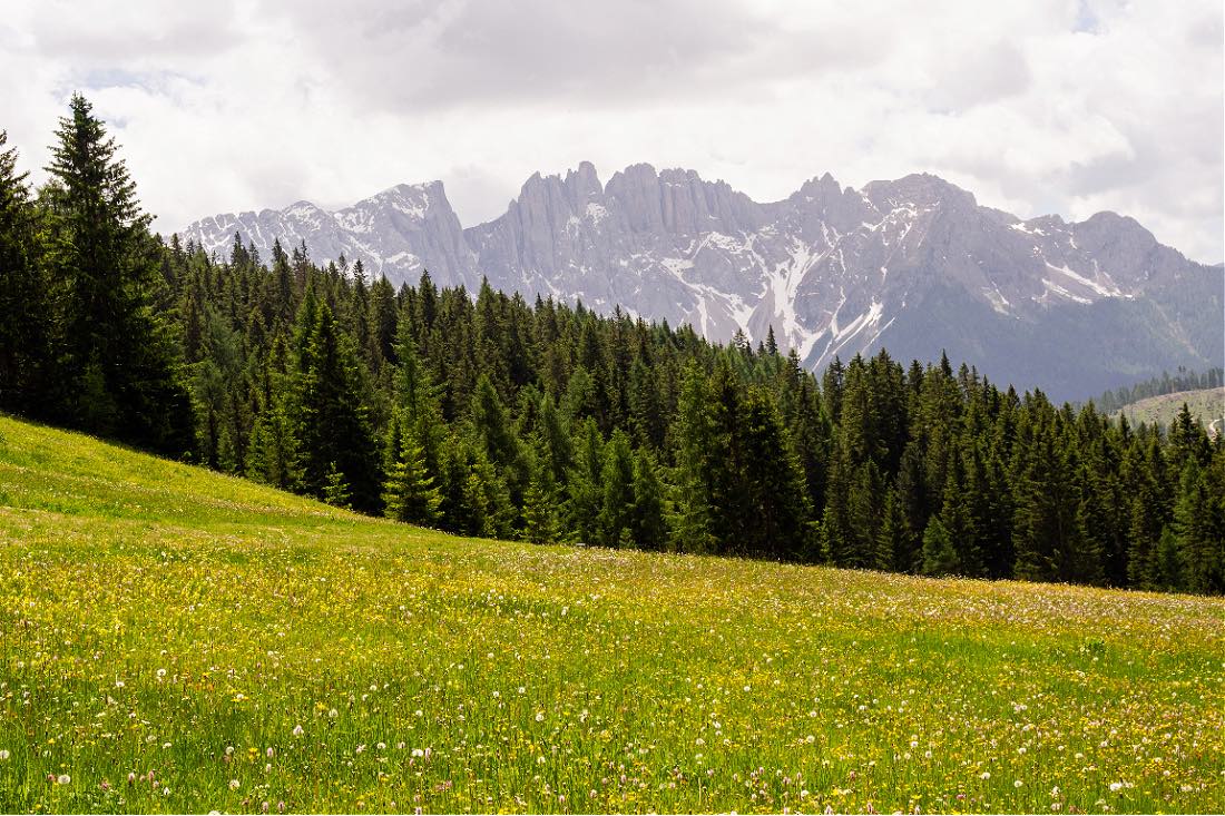 Ausblick vom Rosengarten