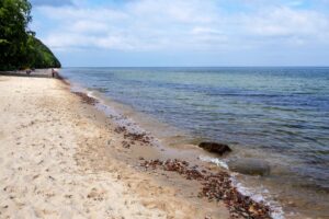 Hundestrand in Gdynia Orłowo