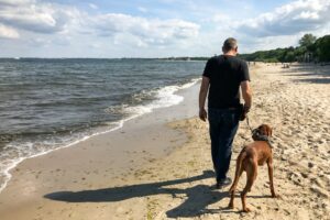 Hundestrand in Gdynia Orłowo