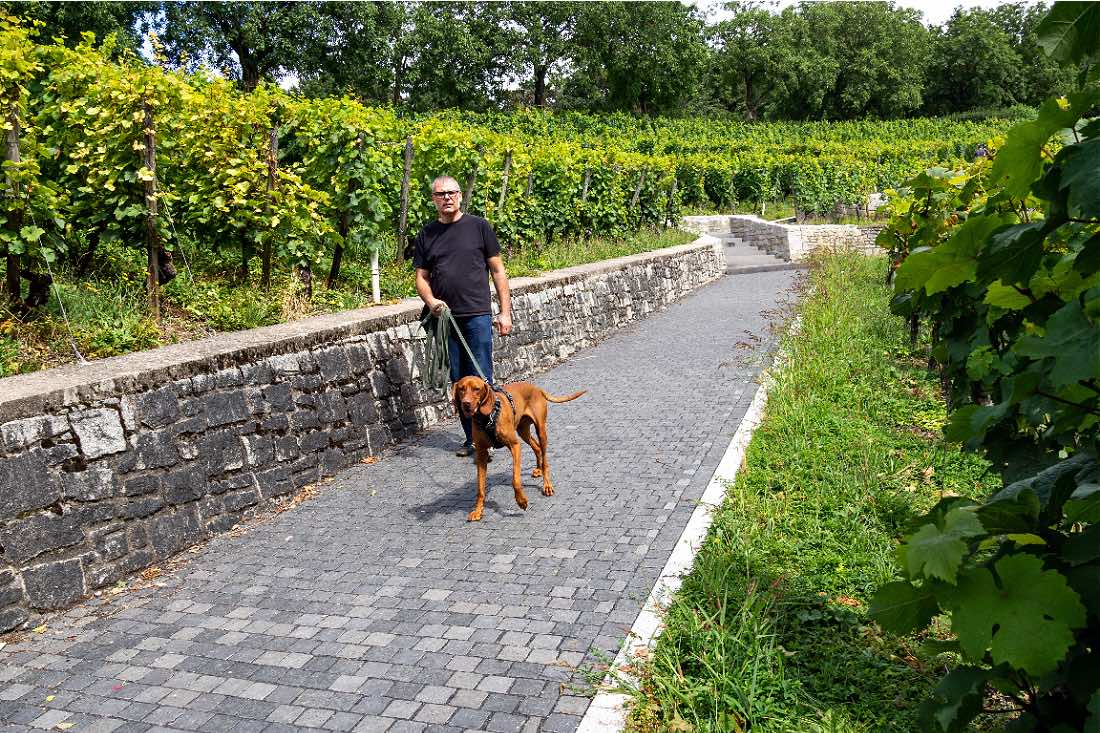 Ausflugsziel Lohrberg Frankfurt mit Hund