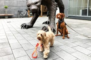 Stadtführung Frankfurt mit Hunden