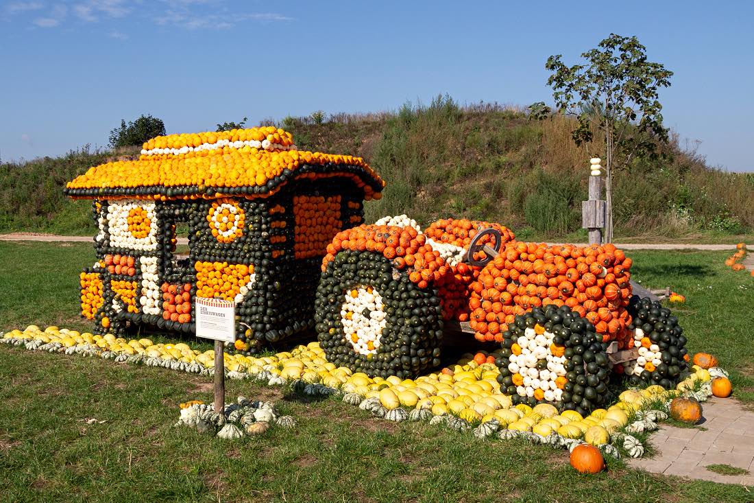 Pumpkin exhibition