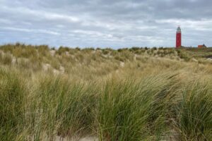 Der Leuchtturm von Texel in Holland unter einem bewölkten Himmel, im Vordergrund ist Gras abgebildet.