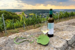 Weinwanderung Saale-Unstrut