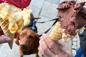 Eisdiele Aroma Marburg Urlaub mit Hund