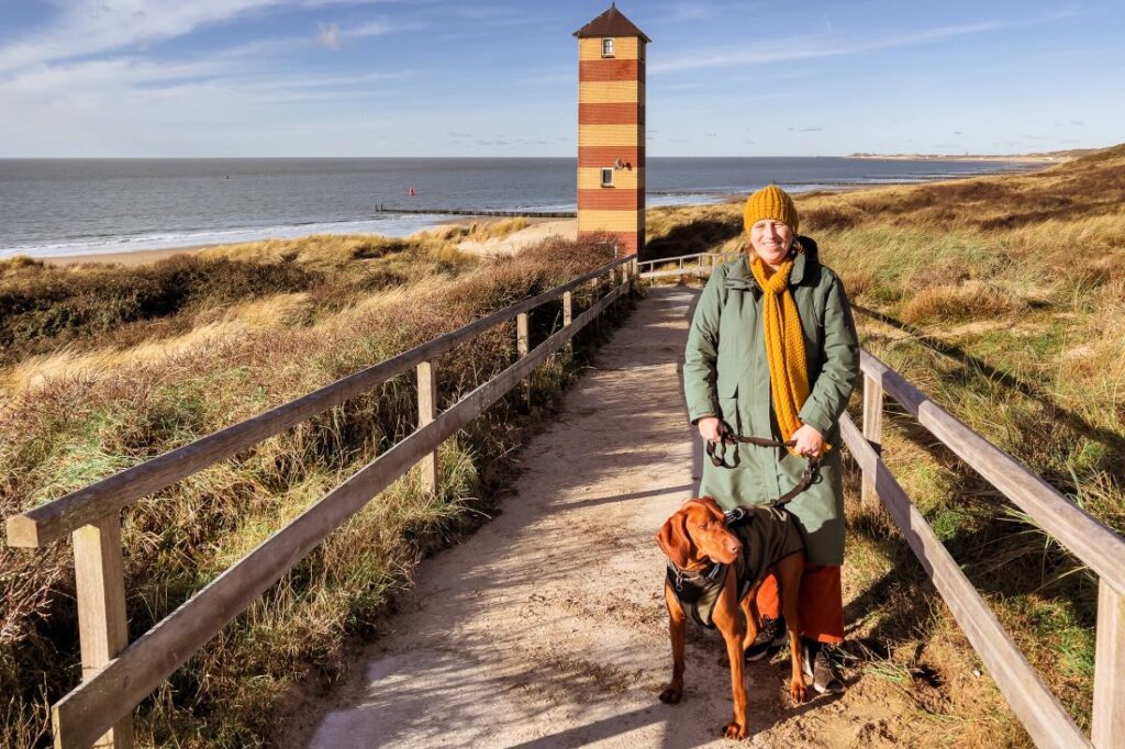 Urlaub Auf Den Halligen Mit Hund