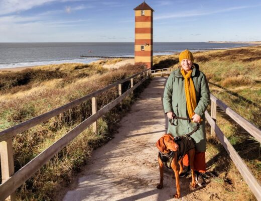 Urlaub mit Hund in Zeeland