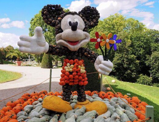 Bei der Kürbisausstellung Ludwigsburg ist auch Micky Maus zu sehen, die Figur ist aus verschiedenfarbigen Kürbissen gebaut.